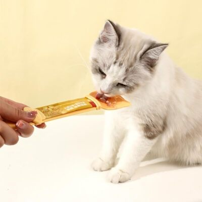 Distributeur Nourriture Chat - MeowSpoon™ - Orange