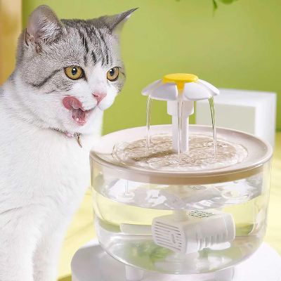 Fontaine à Eau Pour Chat - CatDrinker™ - Bois Transparent