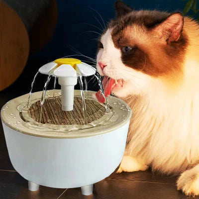 Fontaine à Eau Pour Chat - CatDrinker™ - Grain de bois blanc