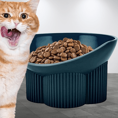 Gamelle pour chat - Anti - tipCatBowls™ - Bleu vert - SPECIAL CHAT