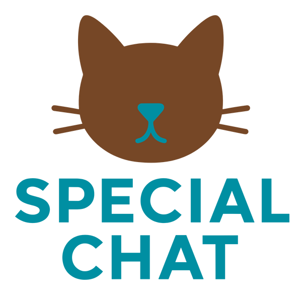 SPECIAL CHAT