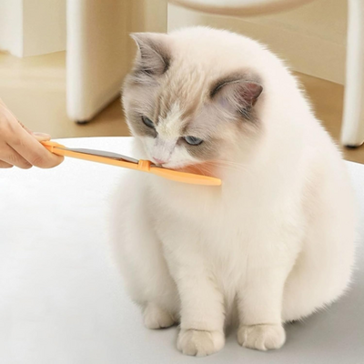 Distributeur Nourriture Chat - MeowSpoon™ - Orange