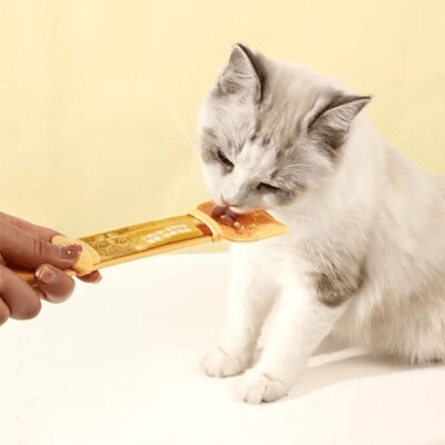 Distributeur Nourriture Chat - MeowSpoon™ - Orange - SPECIAL CHAT