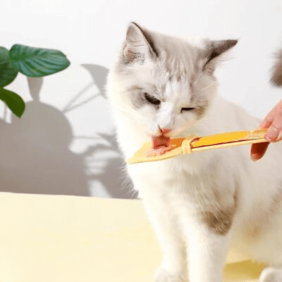 Distributeur Nourriture Chat - MeowSpoon™ - Orange - SPECIAL CHAT