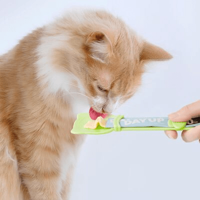 Distributeur Nourriture Chat - MeowSpoon™ - Vert - SPECIAL CHAT