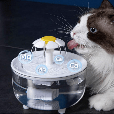 Fontaine à Eau Pour Chat - CatDrinker™ - Blanc Transparent - SPECIAL CHAT