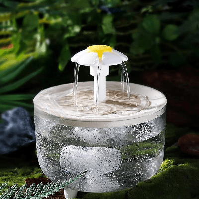 Fontaine à Eau Pour Chat - CatDrinker™ - Bois Transparent - SPECIAL CHAT