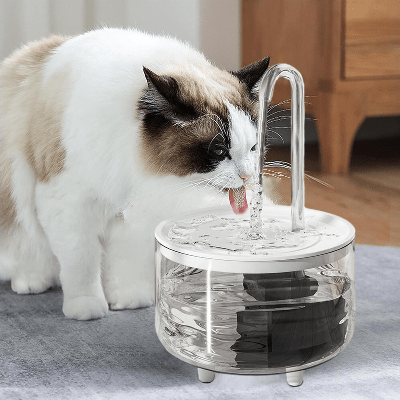 Fontaine à Eau Pour Chat - CatDrinker™ - Tube Transparent - SPECIAL CHAT
